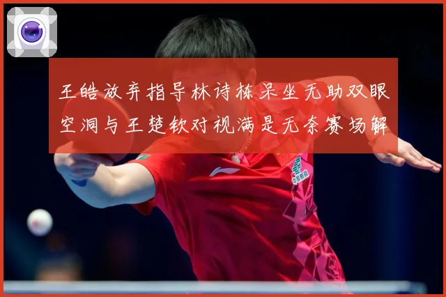 王皓放弃指导林诗栋呆坐无助双眼空洞与王楚钦对视满是无奈赛场解读：最新赛事动态与深度分析