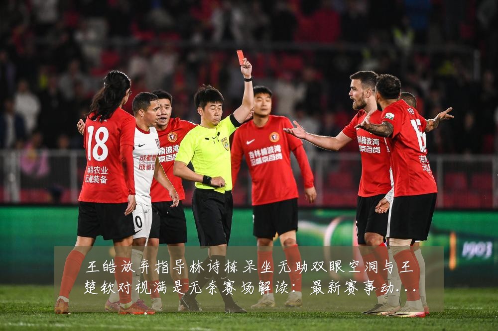 王皓放弃指导林诗栋呆坐无助双眼空洞与王楚钦对视满是无奈赛场解读：最新赛事动态与深度分析
